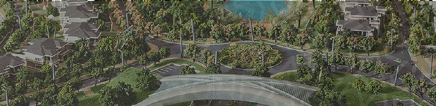 SPECIAL ECONOMIC ZONES